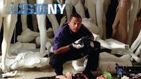 CSI: Место преступления Нью-Йорк — s04e05 — Down the Rabbit Hole