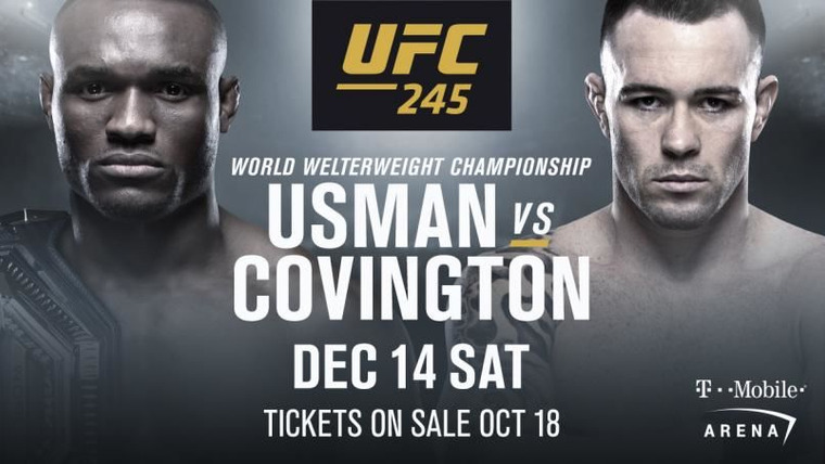UFC PPV Events — s2019e12 — UFC 245: Usman vs. Covington