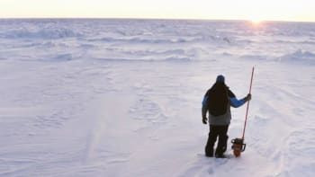 Bering Sea Gold — s12e21 — No More Mr. Ice Guys