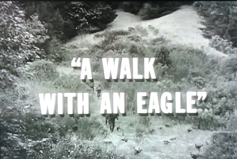 s03e24 — A Walk with an Eagle