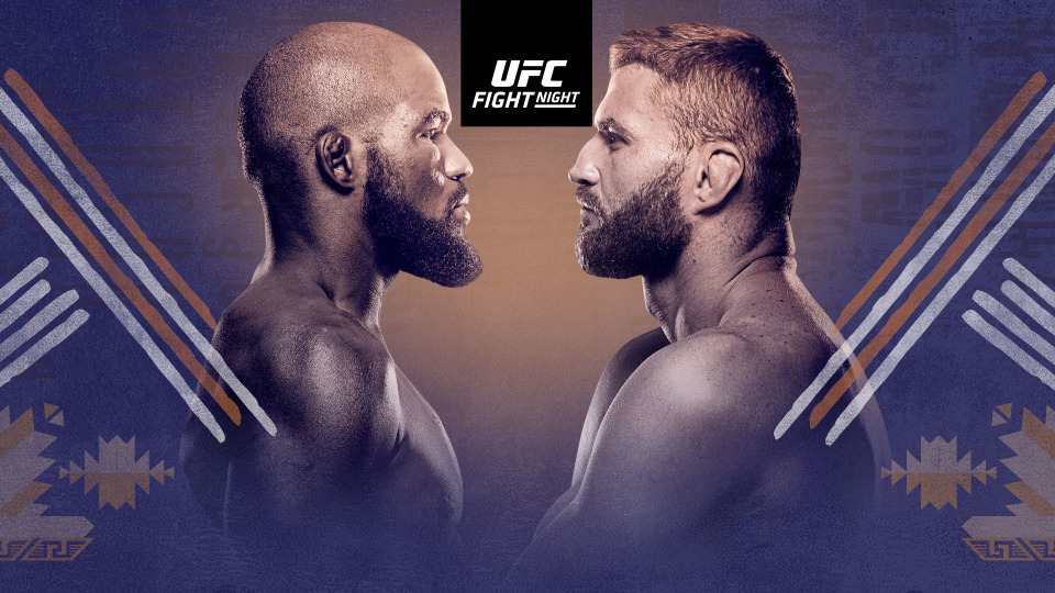 s2020e02 — UFC Fight Night 167: Anderson vs. Blachowicz