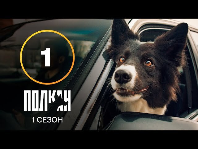 Серия 1