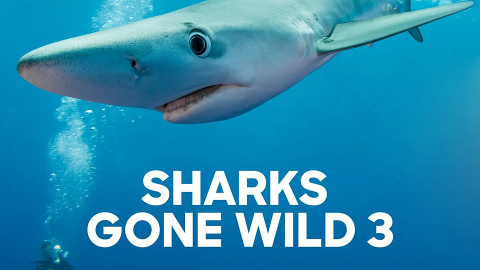 s2020e22 — Sharks Gone Wild 3