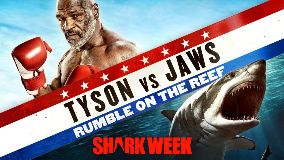 s2020e02 — Tyson vs Jaws: Rumble on the Reef