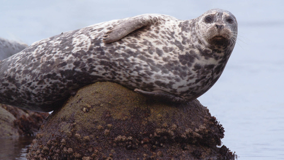 s01e03 — Monterey Bay Marine Sanctuary