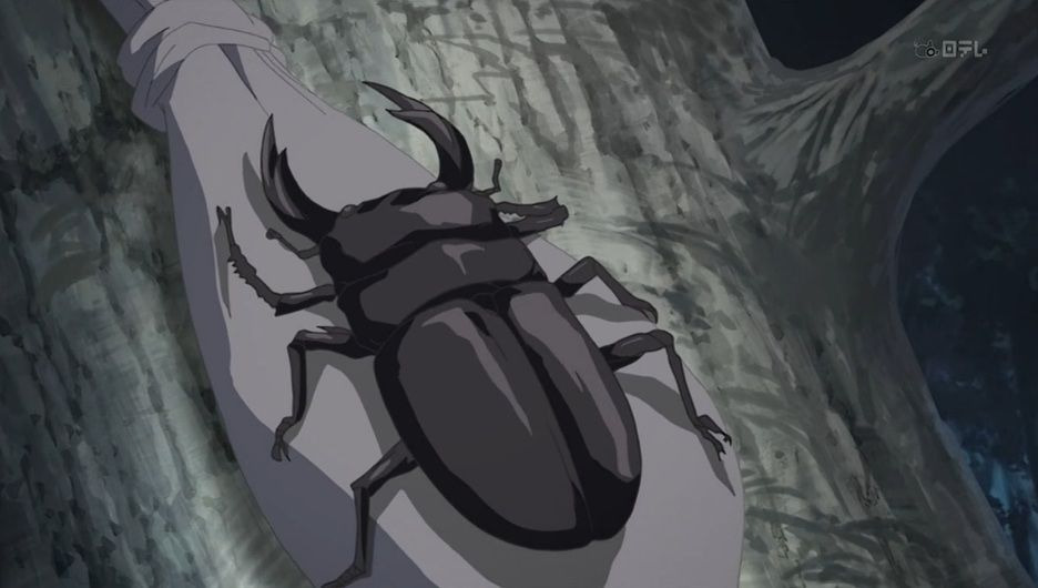 s21e18 — Chase the Miyama Stag Beetle