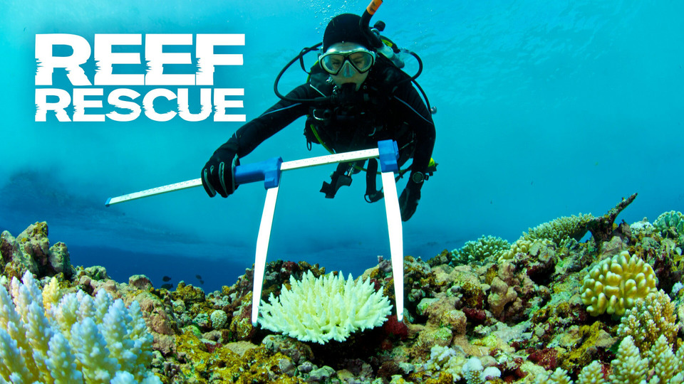 s59e16 — Reef Rescue