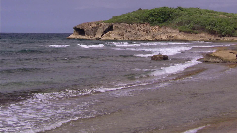 s02e07 — Starting a Family in Puerto Rico