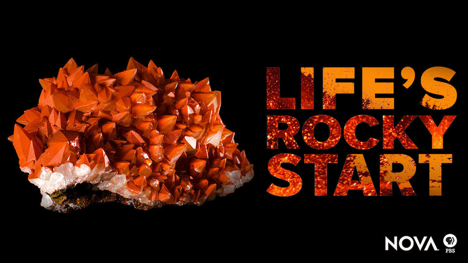 s43e11 — Life's Rocky Start