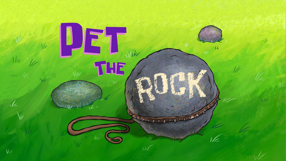 s14e11 — Pet the Rock