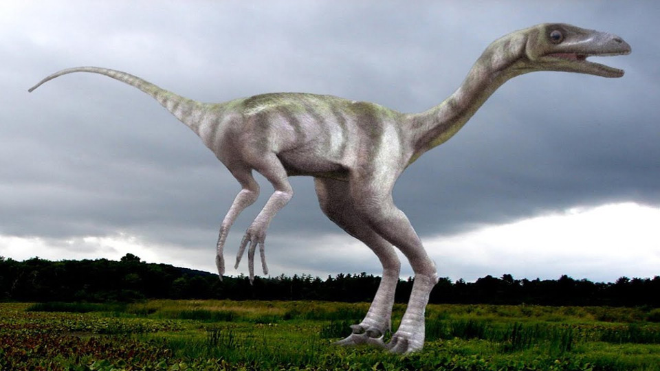 s03e26 — Как выглядели динозавры на самом деле?