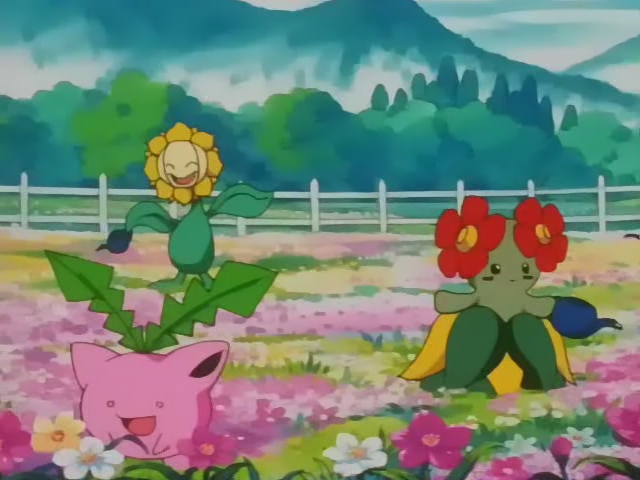 s03e62 — Popocco! Grass Pokemon Battle!!