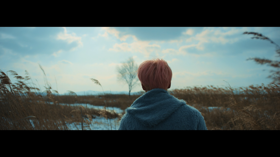 s03e05 — BTS '봄날 (Spring Day)' MV Teaser