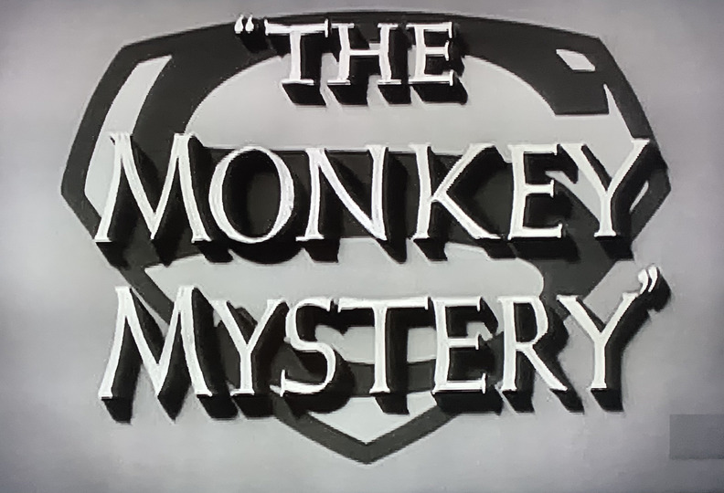 s01e05 — The Monkey Mystery