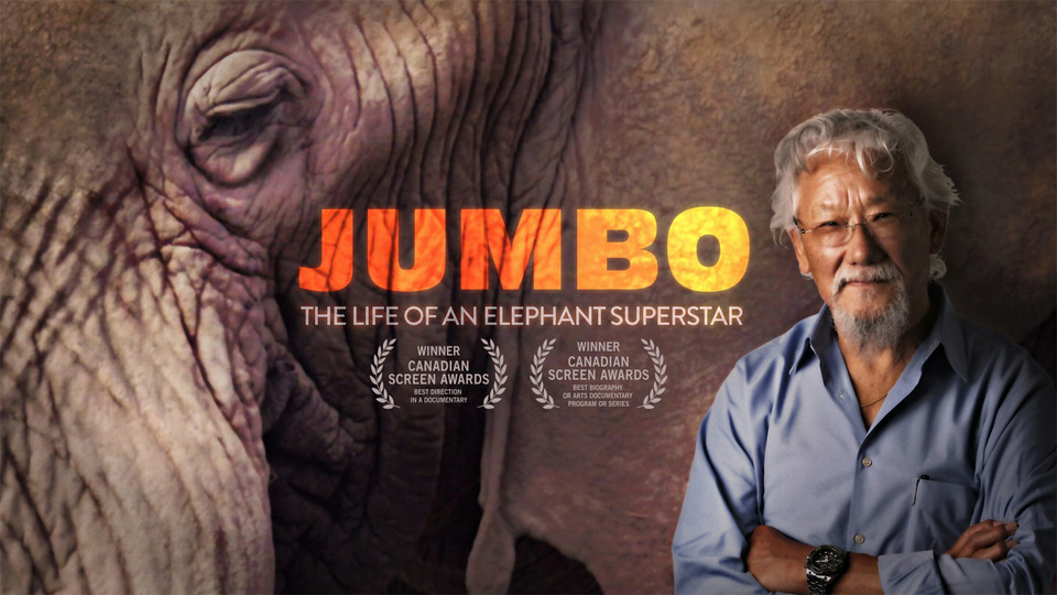 s57e10 — Jumbo: The Life of an Elephant Superstar