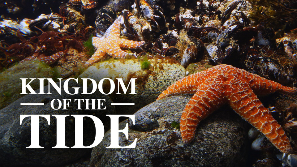 s59e12 — Kingdom of the Tide