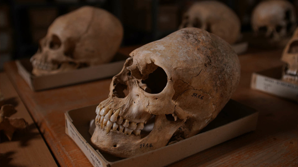 s07e05 — Riddle of the Roman Skulls