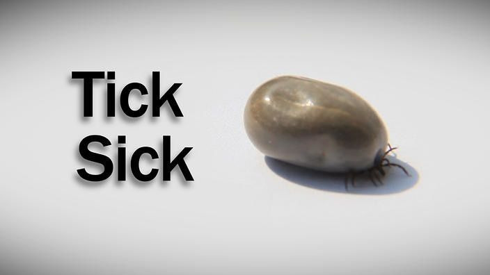 s2017e39 — Tick Sick