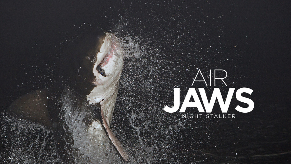 s2016e08 — Air Jaws: Night Stalker