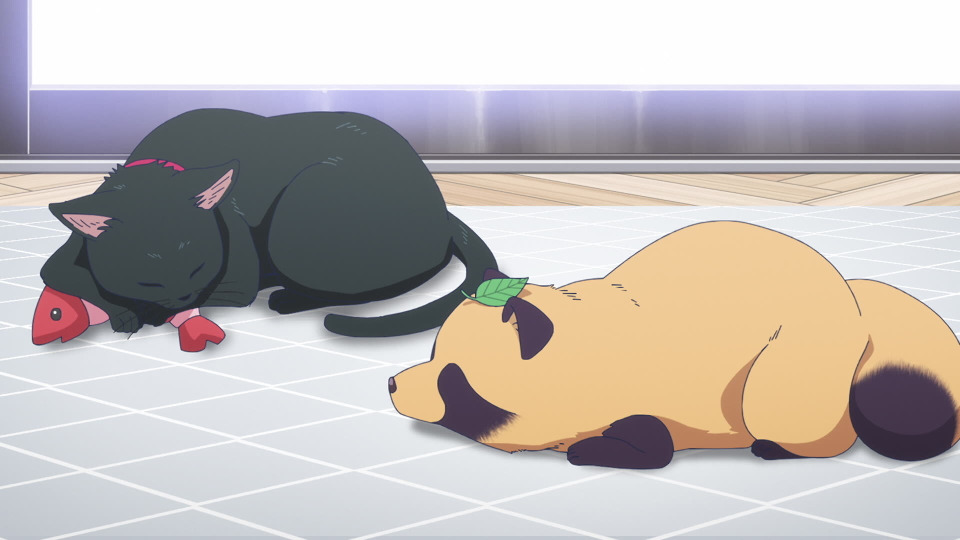s01e06 — The Cat and Pumpkins