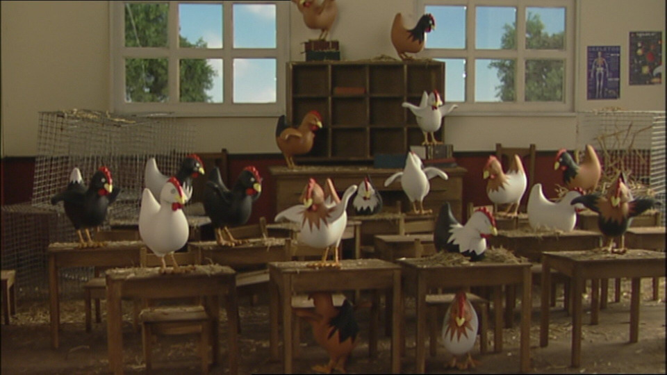 Chickens to School