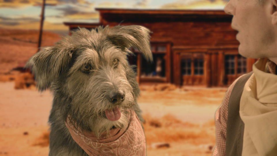 s01e08 — Movie Star Dogs & Hounds and Horses