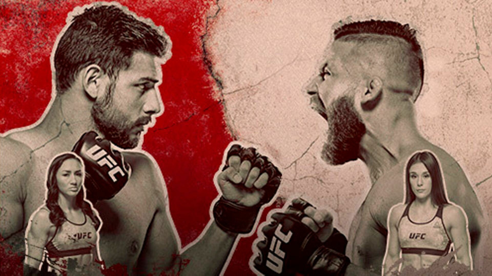 s2019e22 — UFC Fight Night 159: Rodriguez vs. Stephens