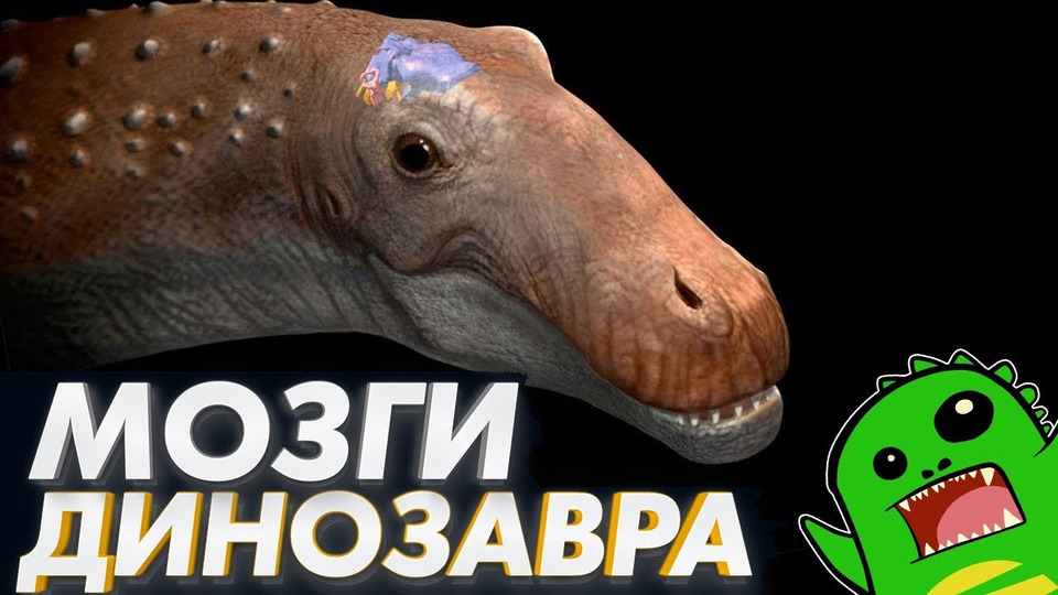 s02e35 — НАСТОЯЩИЕ РЕПТИЛОИДЫ — Насколько умны динозавры? | Мозг и интеллект динозавров