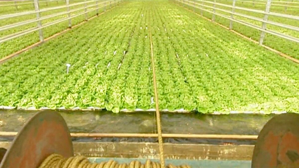 s02e05 — Hydroponic Lettuce, Construction Wood, Recycling, Fishing Flies