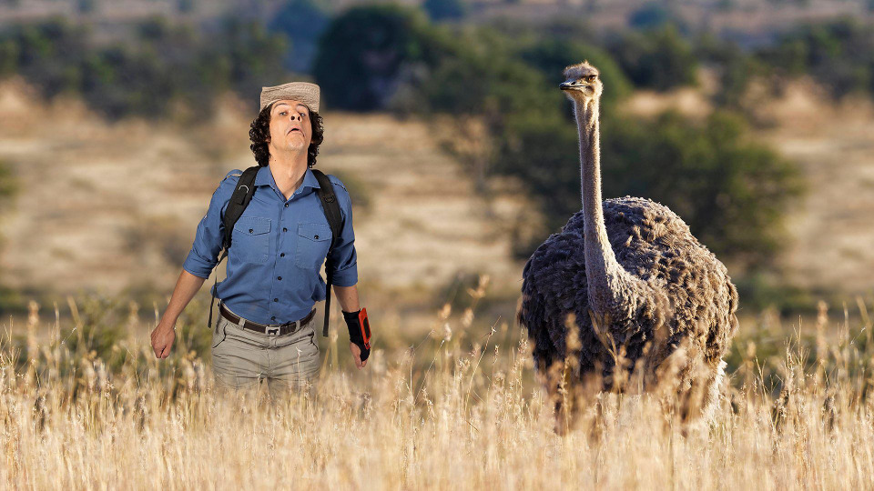 s01e17 — Ostriches