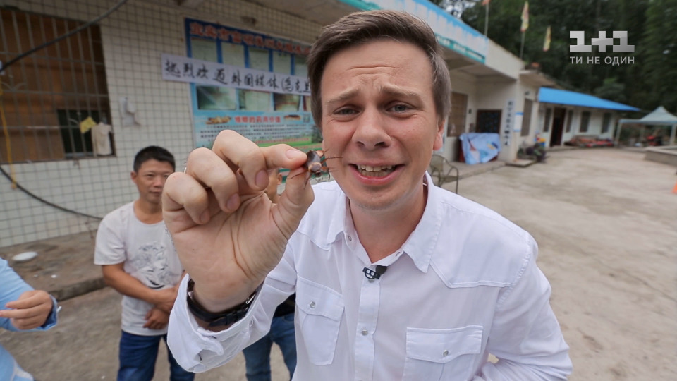 s11e10 — Дмитрий Комаров посетил тараканью ферму и съел таракана