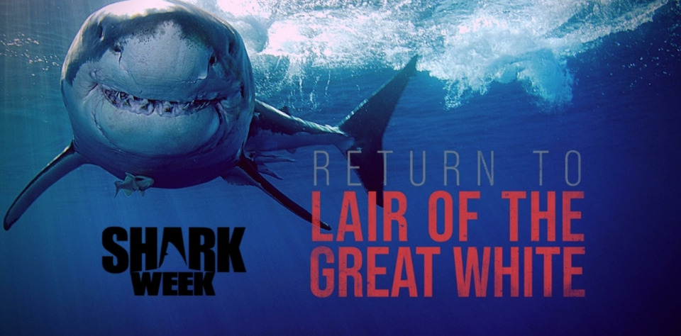 s2021e12 — Return to Lair of the Great White