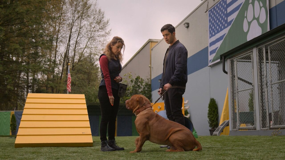 s01e01 — Forever and a Dog