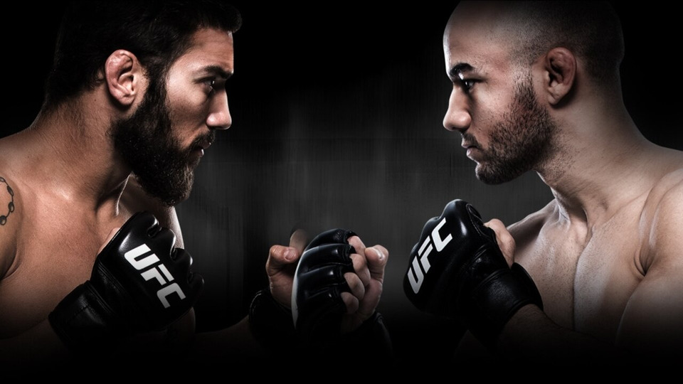 s2018e11 — UFC Fight Night 131: Rivera vs. Moraes