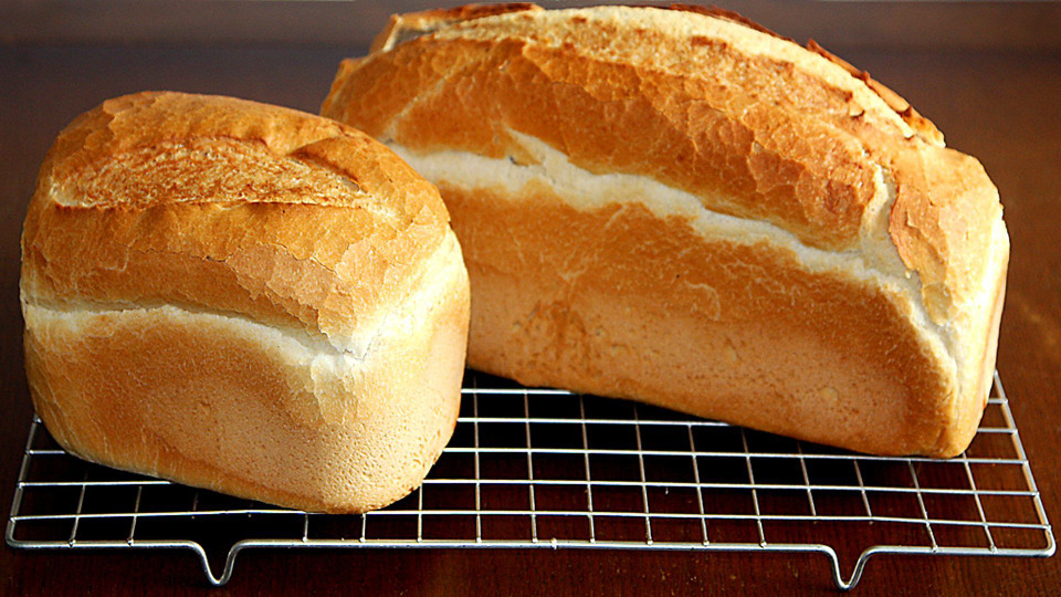 s02e04 — Addicted to Bread