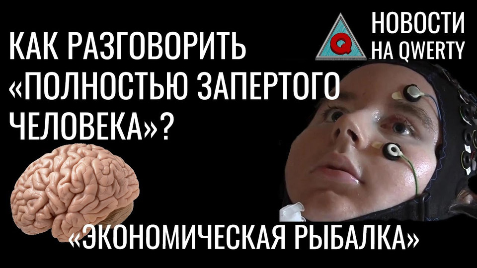 s2022e512 — Украина: вирусы летучих мышей. Мозг истощает общие ресурсы. Гибкий дисплей. Новости QWERTY № 208 #НовостиНауки #биология #украина