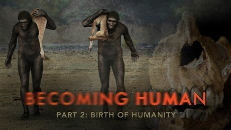 s37e05 — Becoming Human Part 2: Birth of Humanity