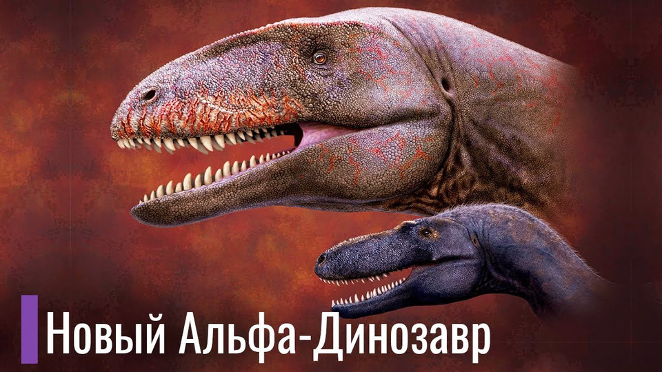 s05e20 — Новый Динозавр суперхищник был обнаружен в Узбекистане