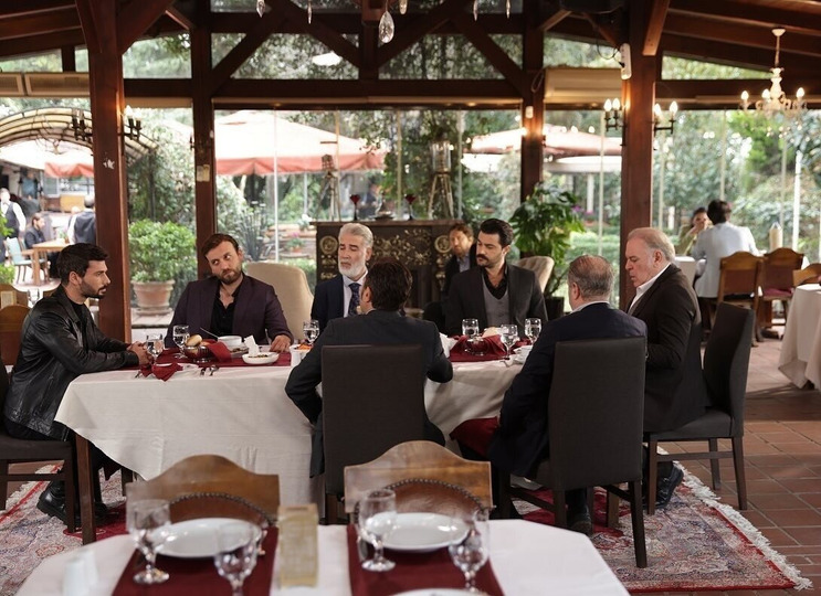 Mushuklar haqida qiziqarli video yuklab olish