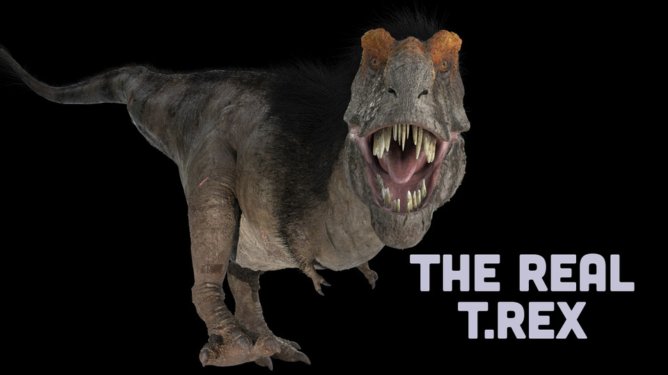 s58e05 — The Real T.Rex