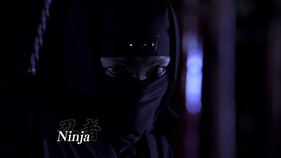 s2013e37 — Iga Ninja Forest