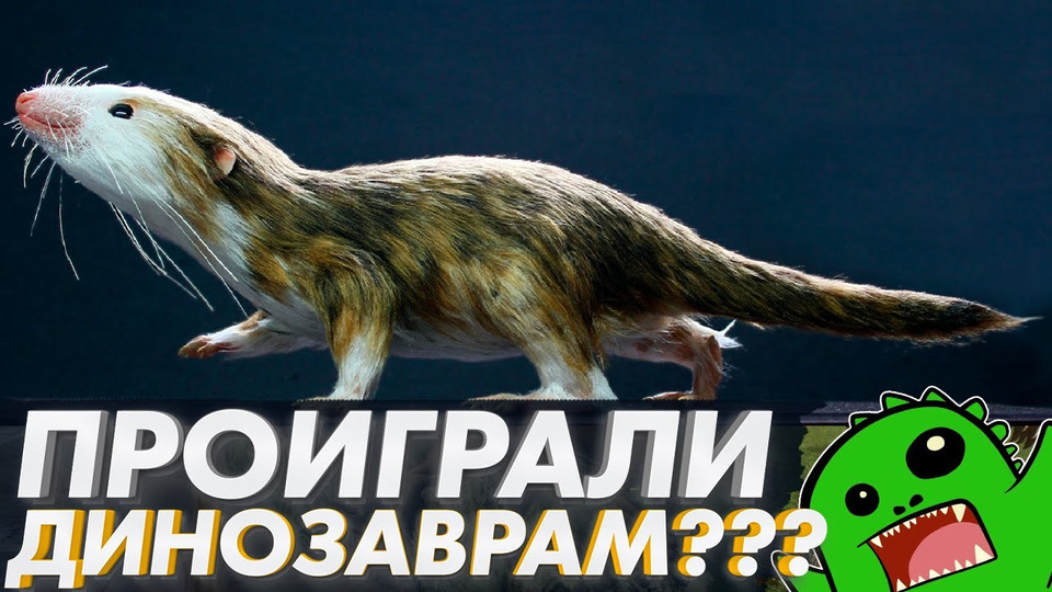 s03e28 — Млекопитающие проиграли динозаврам войну метаболизмов? [ЭВОЛЮЦИЯ МЛЕКОПИТАЮЩИХ]