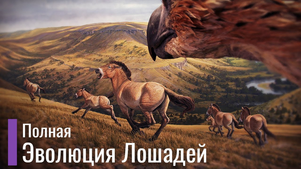 s05e07 — Реальная Эволюция Лошадей. Первобытные лошади