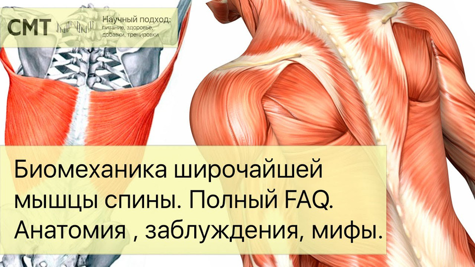 s04e12 — Биомеханика широчайшей мышцы спины. Полный FAQ. Упражнения, заблуждения, мифы