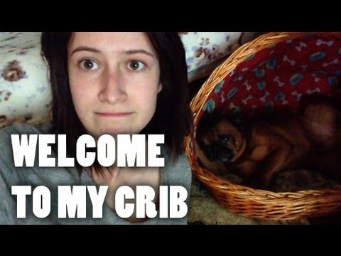 s02e17 — my name is Dog and welcome to my crib