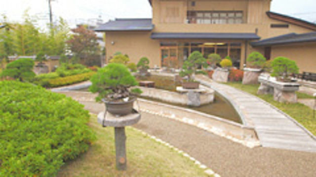 s2013e41 — The Miniature World of Bonsai - Omiya