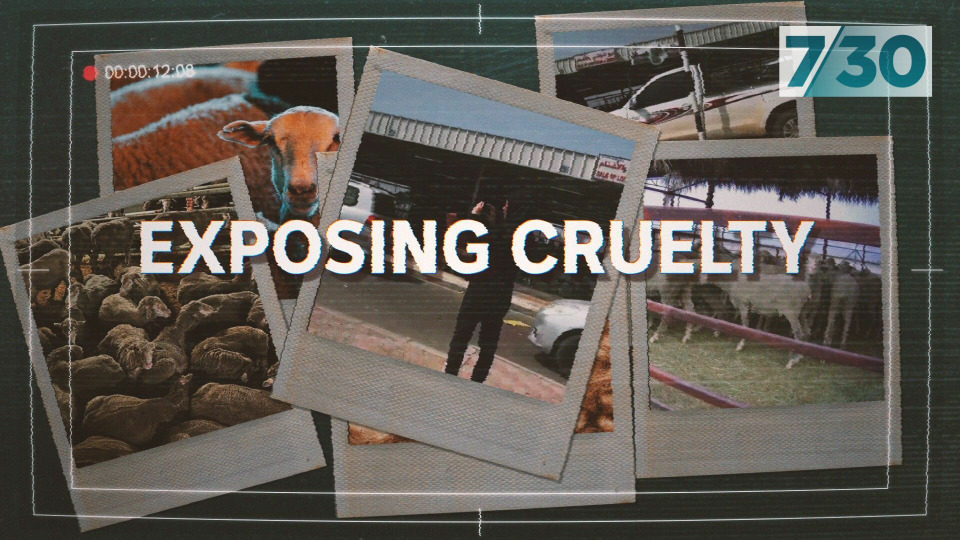 s2023e130 — Exposing Cruelty