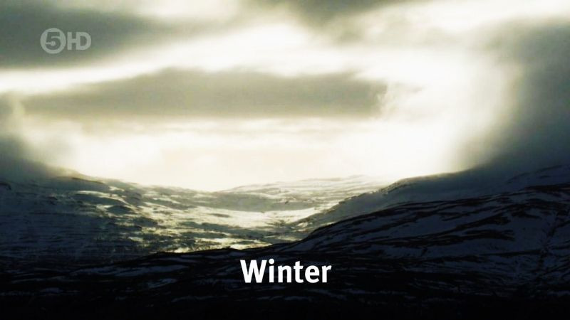 s01e04 — Winter