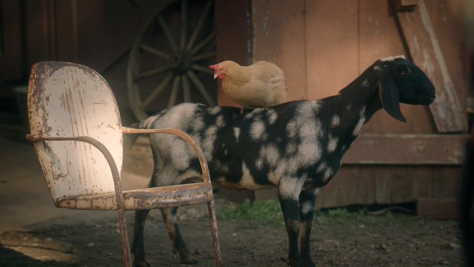 s01e02 — The Chicken and the Goat