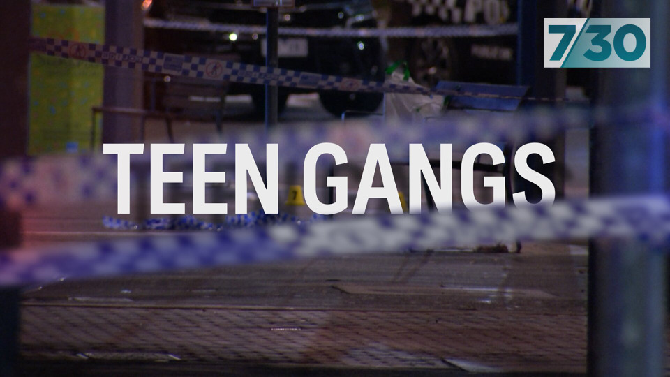 s2023e161 — Teen Gangs